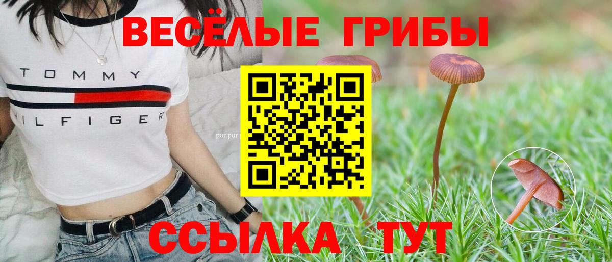 Галлюциногенные грибы ЛСД  Галлюциногенные грибы Cubensis  Вход с VPN  Кашира 