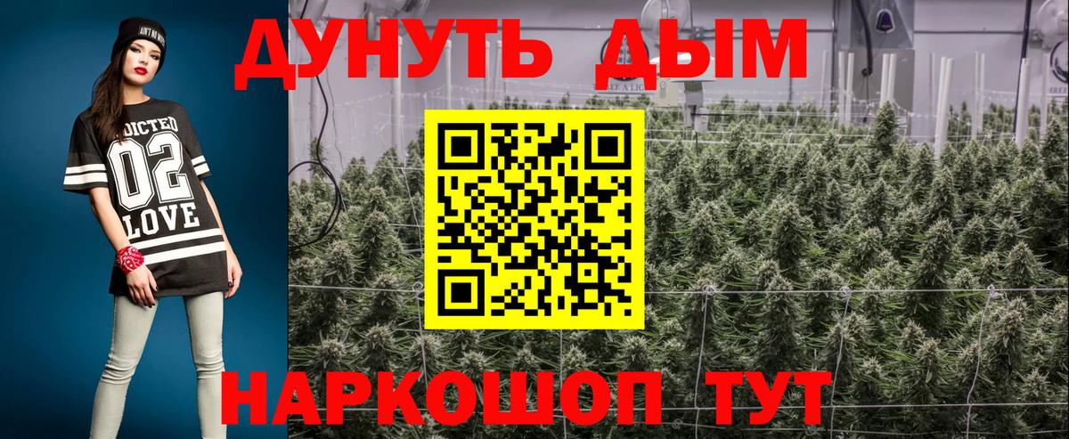 Канабис SATIVA & INDICA Кашира